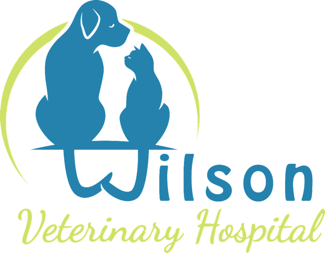 Wilson Veterinary Hospital